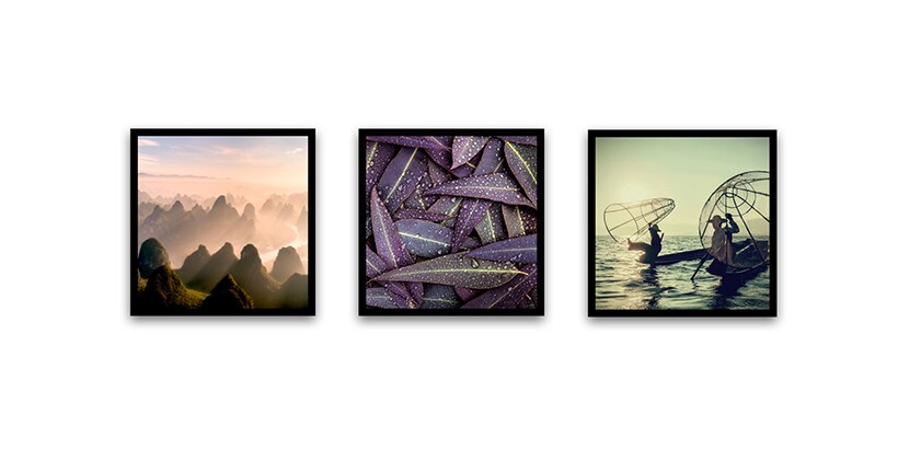 gallery wall ideas in tryptich design
