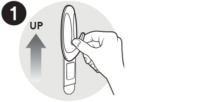 reveal the mounting base and strip
